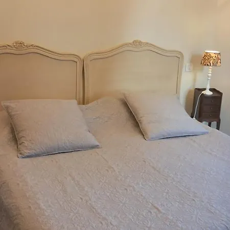 Bed & Breakfast D'hotes Chateau De Damigny