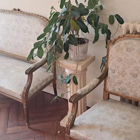 Bed & Breakfast D'hotes Chateau De Damigny