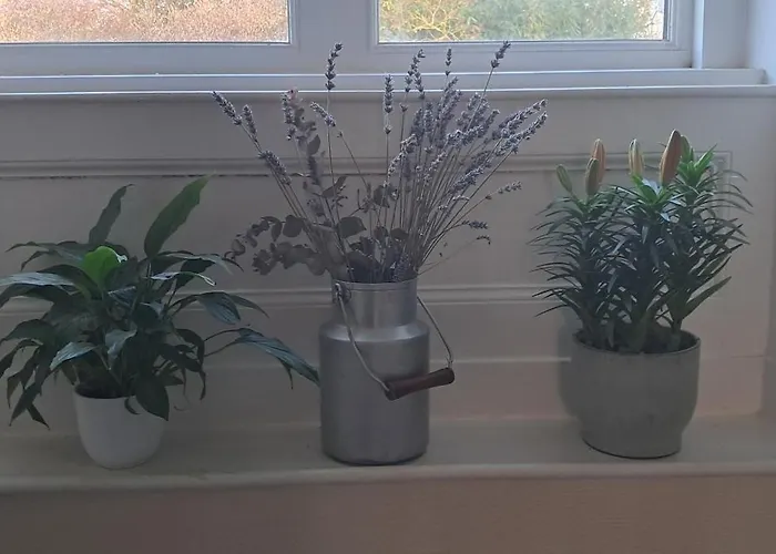 D'hotes Chateau De Damigny Bed and breakfast